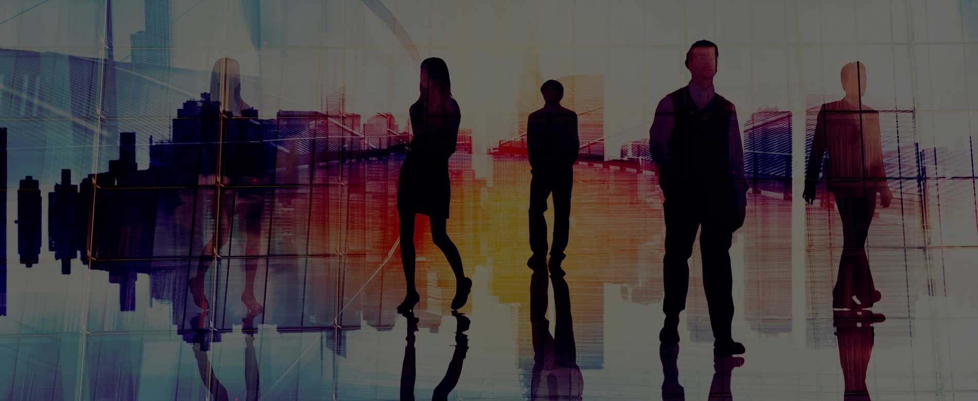 WinWeb bemutatkozás